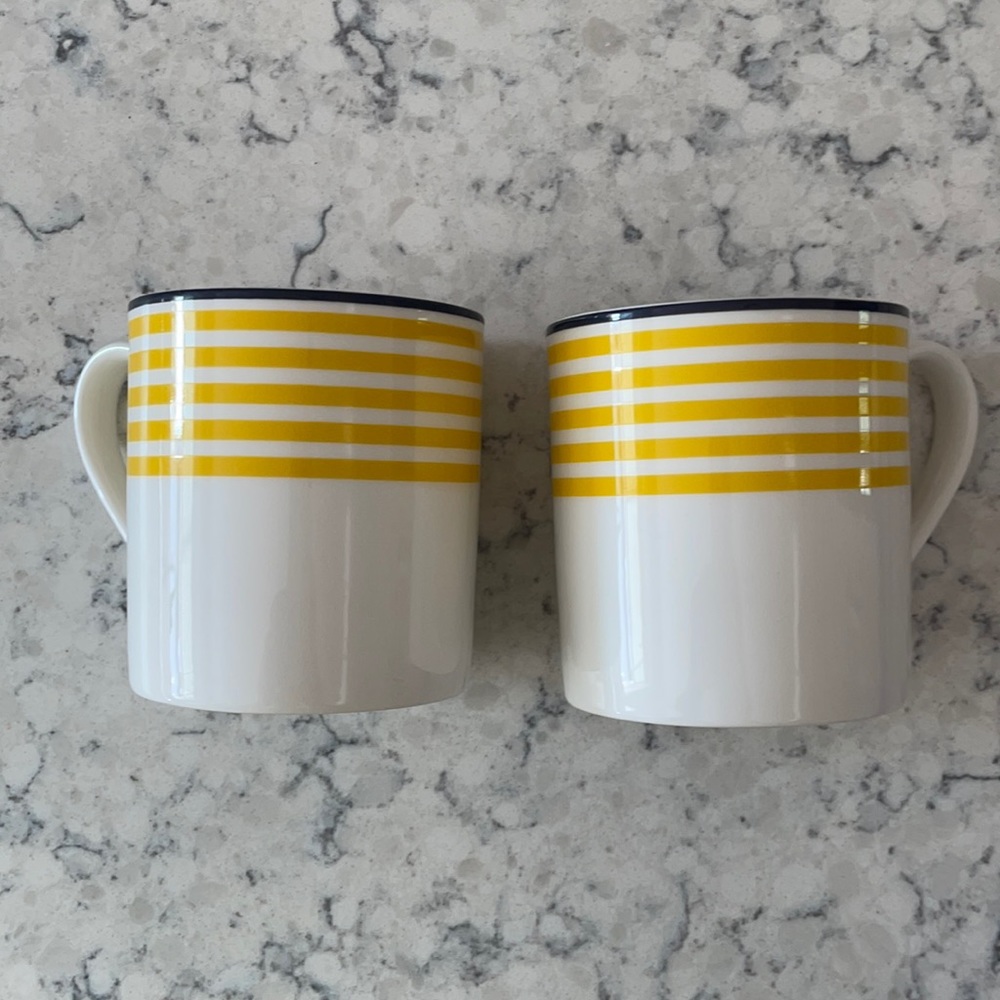 Kate Spade Sea Cliffs Stripe Mugs - NWOT